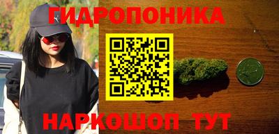 сатива Краснодар