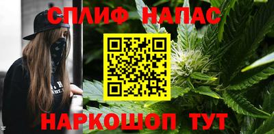 сатива Краснодар