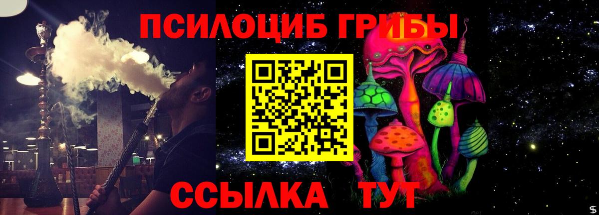Заводоуковск  Псилоцибиновые грибы мицелий  закладка  Вход с VPN 