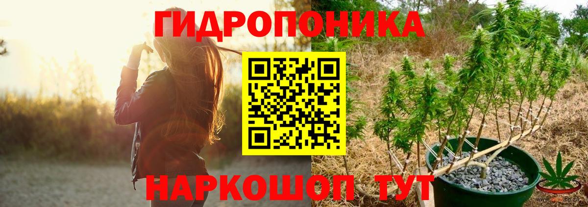 Каннабис план Заводоуковск